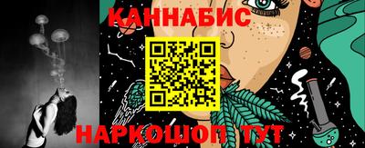 крисы Будённовск