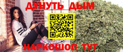 крисы Будённовск
