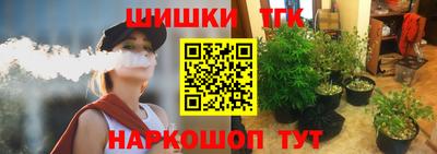 крисы Будённовск