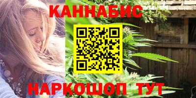 крисы Будённовск