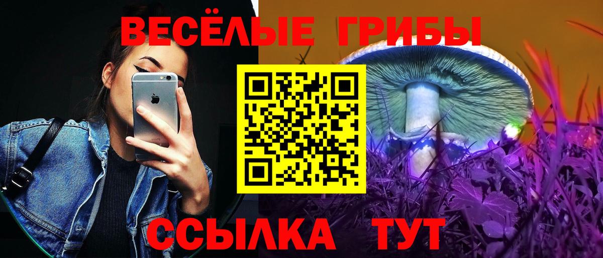 Дюртюли  Галлюциногенные грибы MAGIC MUSHROOMS  Псилоцибиновые грибы мицелий  Вход с VPN 