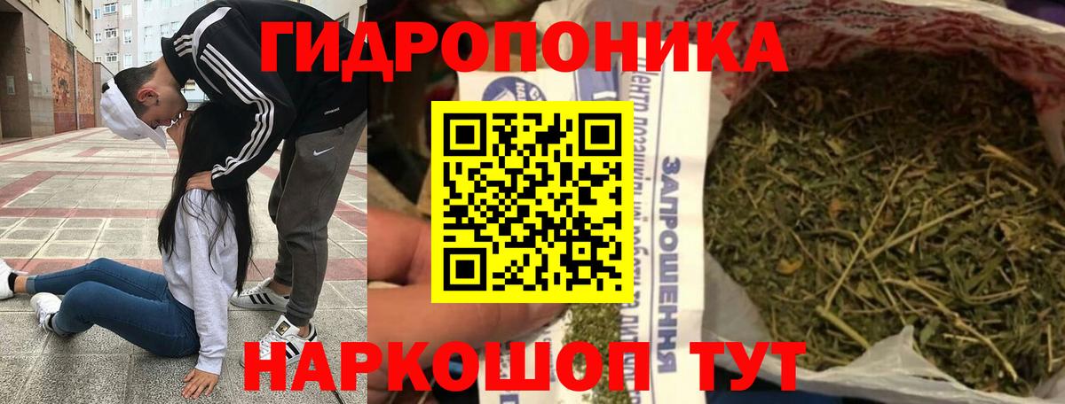 МАРИХУАНА Bruce Banner  Вход с VPN  Бошки Шишки тримм  Дюртюли 